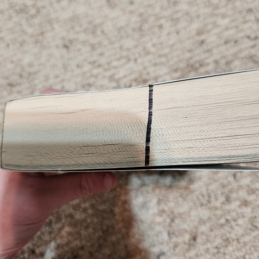 Allegiant Paperback - Picture 2 of 8